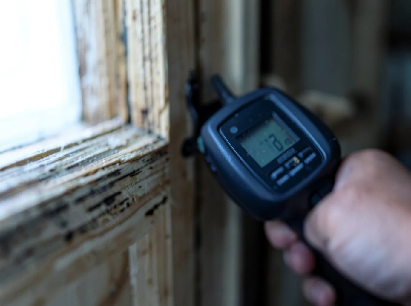 Moisture Inspection And Documentation in Mount Vernon, GA